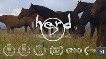 Herd: A Spiritual Journey (2016)