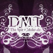 poster for dmt the spirit molecule