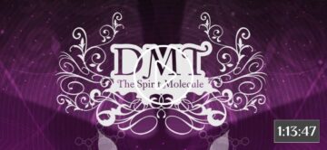 poster for dmt the spirit molecule