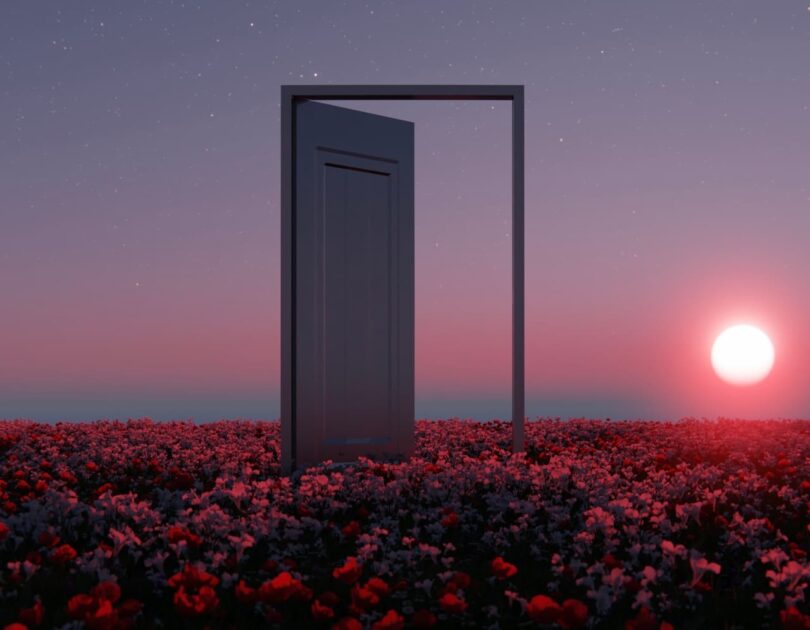 Image of an empty doorway in a field of red flowers at sunset in a dream landscape