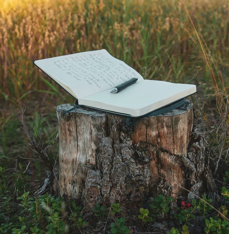 Image of a reflective journal on a tree stump