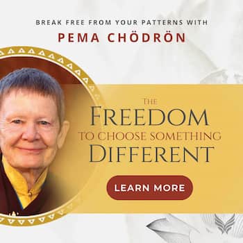 Freedom To Choose Course image