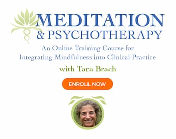 Meditation and Psychotherapy image