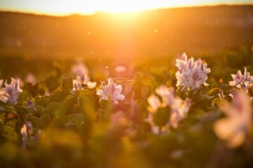 7 Self-Kindness Practices For Calming the Inner Critic
