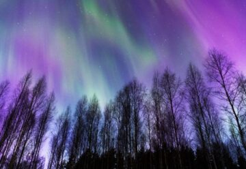 222 Meaning & the Spiritual Journey (Why You Keep Seeing It!) ⋆ LonerWolf