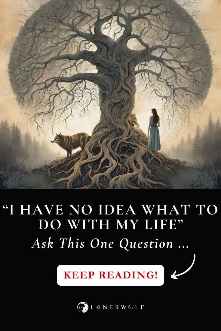 "I Don’t Know What to Do With My Life" (Ask This One Question) ⋆ LonerWolf