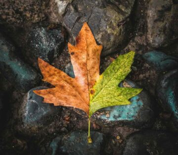 7 Spiritual Stagnation Signs (The Silent Thief of Inner Growth) 
