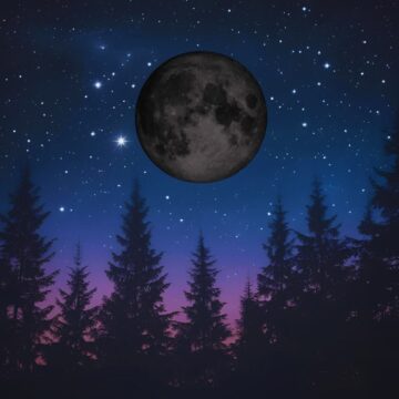 Image of a Black Moon in the night sky above a pine forest