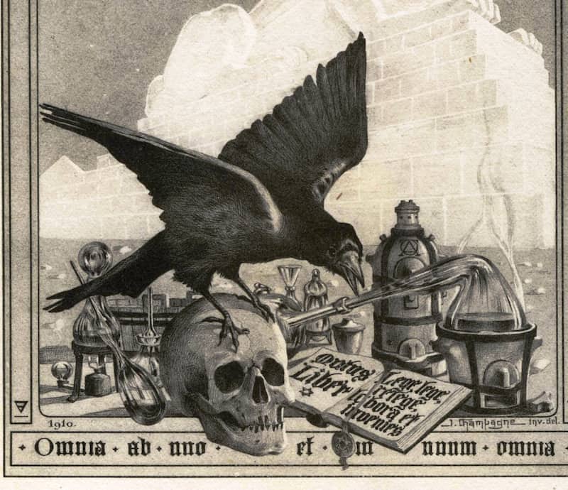 Image of a raven and skull symbolic of nigredo in alchemy