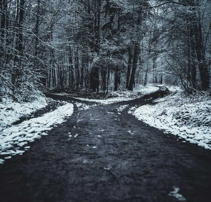 A fork in the road on a forest trail symbolising repeated signs and the soul's path