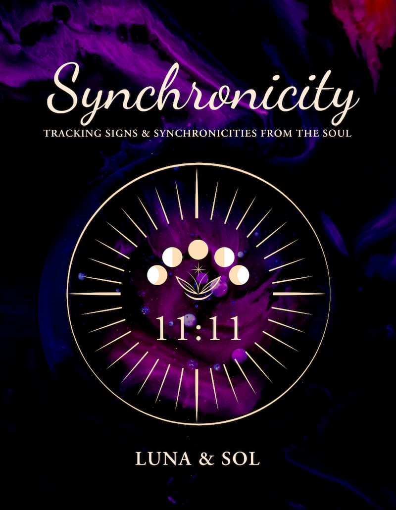 Image of the Synchronicity Tracker Journal