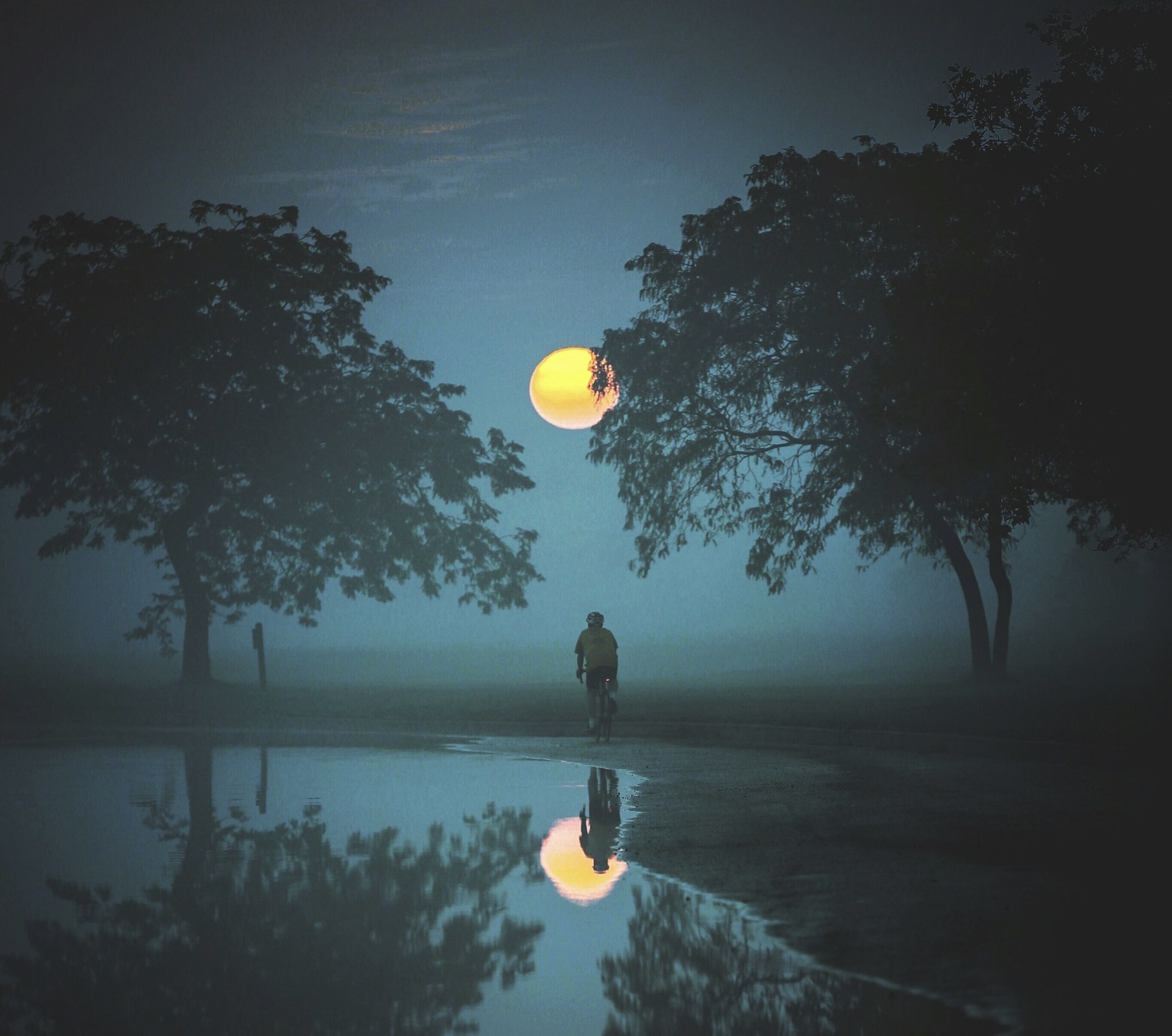 Image of a person cycling alone under a full moon symbolic of the lone wolf mentality