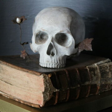 Image of a skull on top of a big old book symbolic of having a rich intellectual life that is a safeguard against suffering as a lone wolf empath
