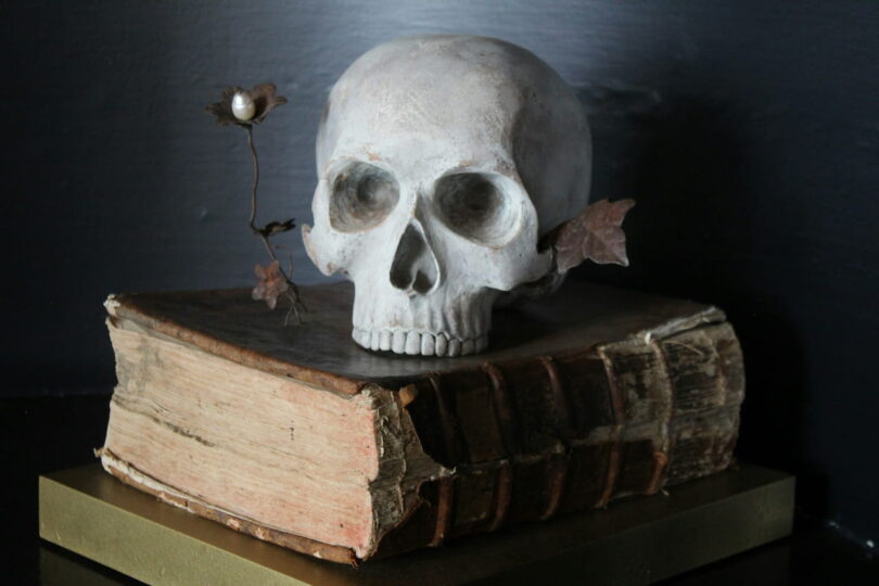 Image of a skull on top of a big old book symbolic of having a rich intellectual life that is a safeguard against suffering as a lone wolf empath