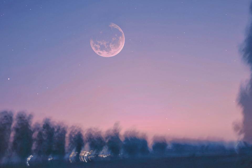 Image of a moon above a hazy landscape of trees symbolic of the empath
