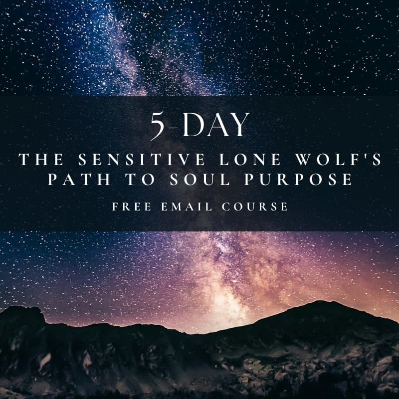 image of foundations of soul work course