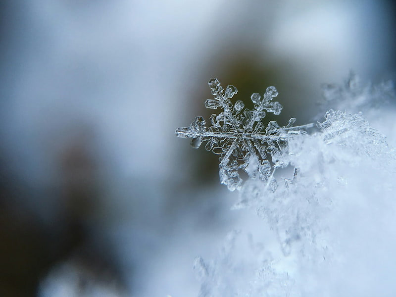 A picture of a snowflake