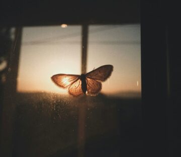 The Astonishing Power of Being Boring: Why We Fear Our Own Simplicity