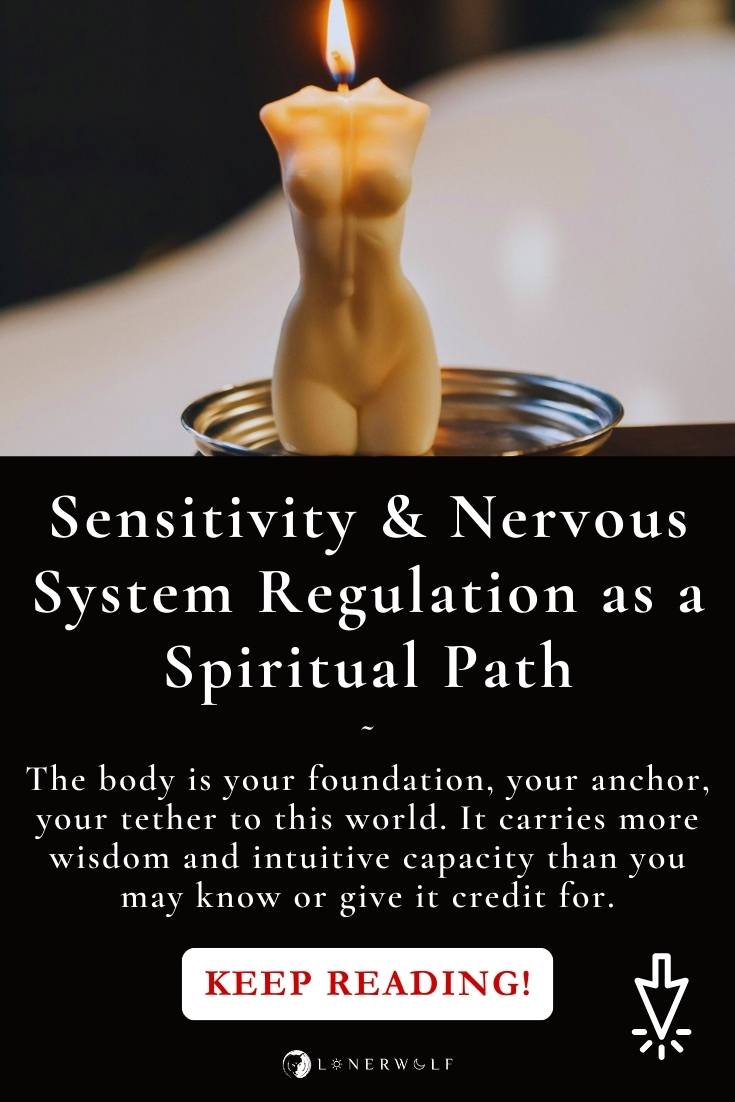 Methods of healing the nervous system of a highly sensitive person. A picture of the vagus nerve