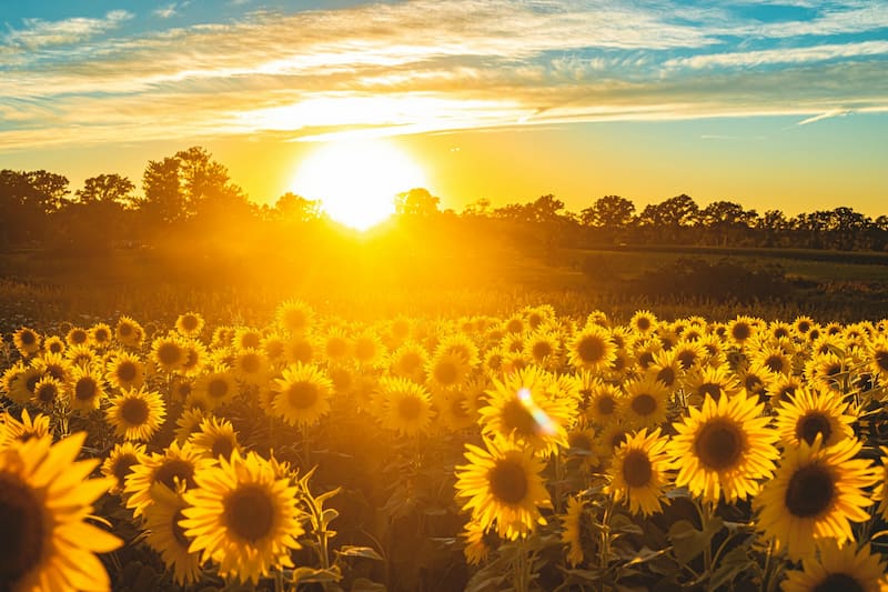 The Quiet Devastation of Childhood Trauma: 21 Signs, Effects, and a Path Toward Soul Recovery