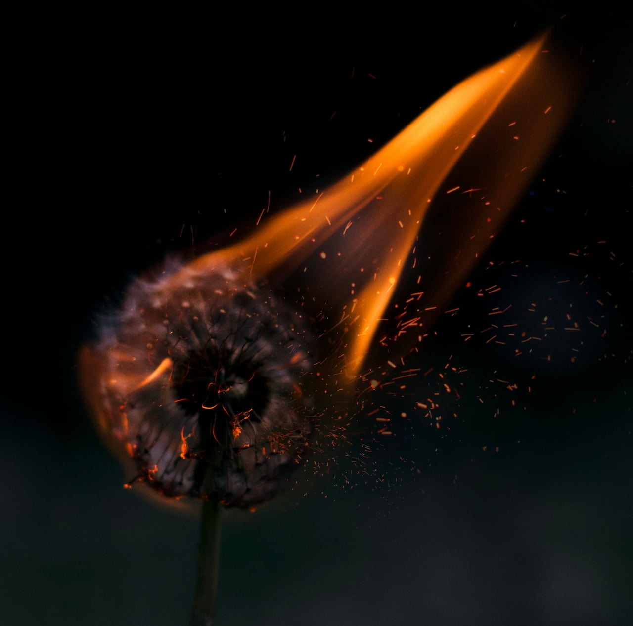 The Quiet Devastation of Childhood Trauma: 21 Signs, Effects, and a Path Toward Soul Recovery