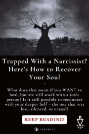 narcissist abuse soul recovery trauma healing image