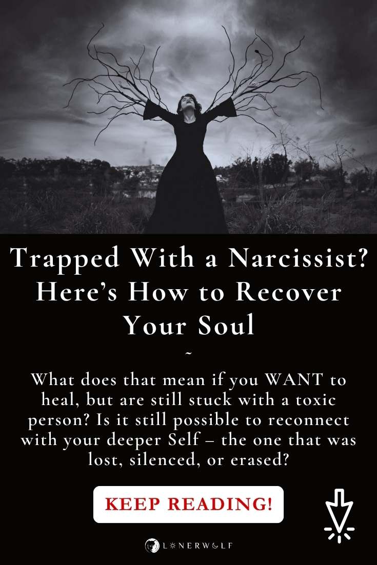 Trapped With a Narcissist? Here's How to Recover Your Soul ⋆ LonerWolf