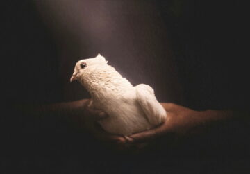 Grief Work: The Brave Inner Work of Mourning What Was Lost