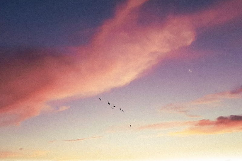How to Practice Radical Acceptance (Without Betraying Yourself)