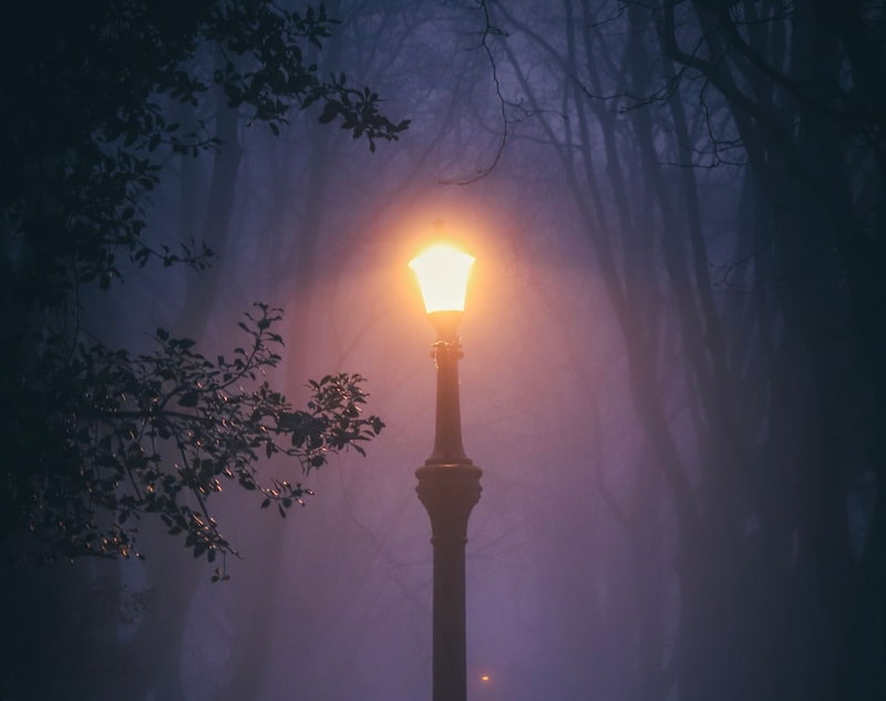 an image of a mysterious lantern glowing in the dark, a symbol of working with the shadow for highly sensitive people and empaths